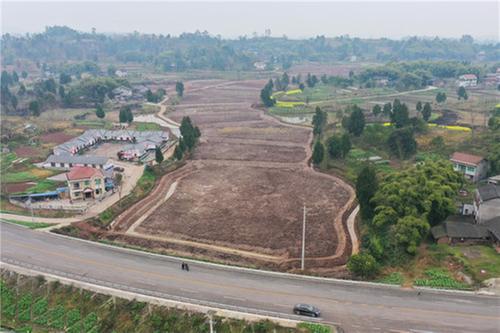 肖溪镇：推广稻田养鱼综合养殖助力乡村振兴