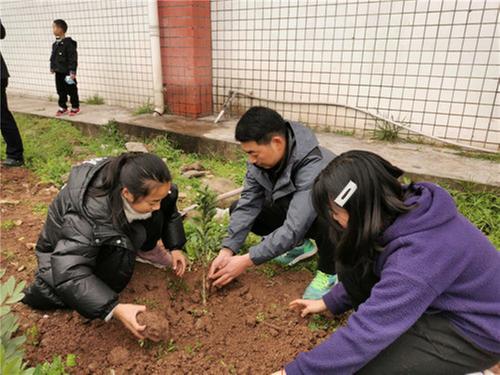 恩阳区：镇庙小学开展“拥抱春天，播种绿色”植树活动