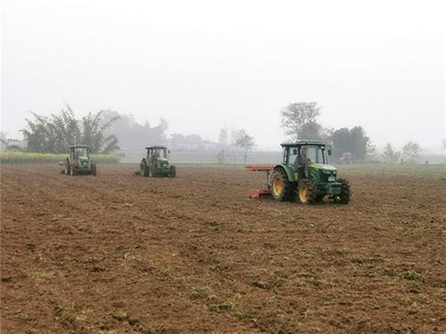 青神县：谷种“穿衣”，丰收有望