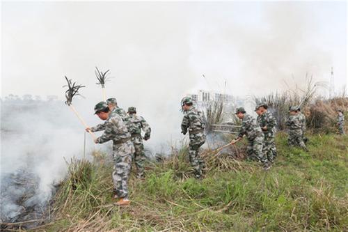 官盛镇：实战演练防山火