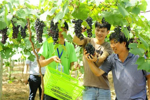 邻水县：激活乡村振兴新动能