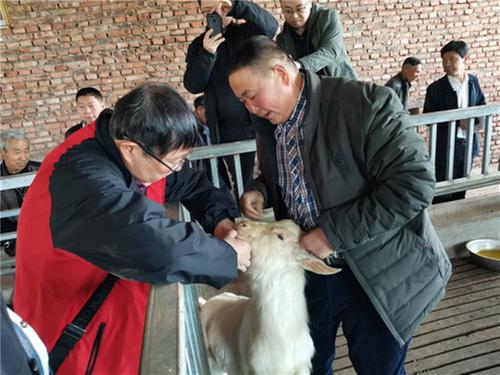 通江县科协开展山羊养殖技术培训