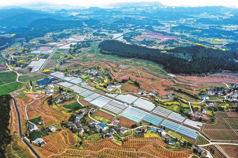 阆中市：“红色矩阵”赋能产业发展