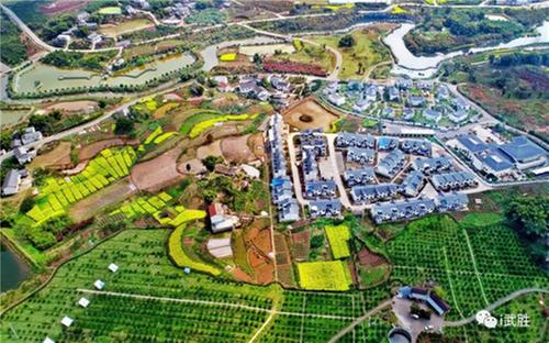 武胜县获农业农村工作先进集体称号