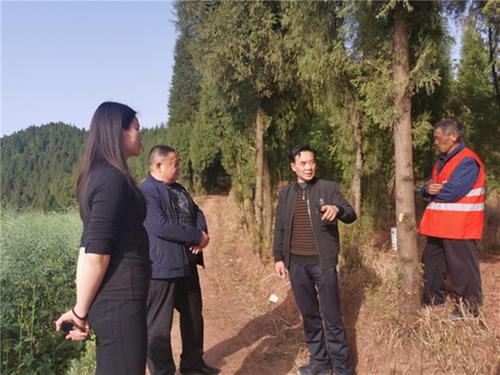 岳池县：督导检查同兴镇森林防灭火工作