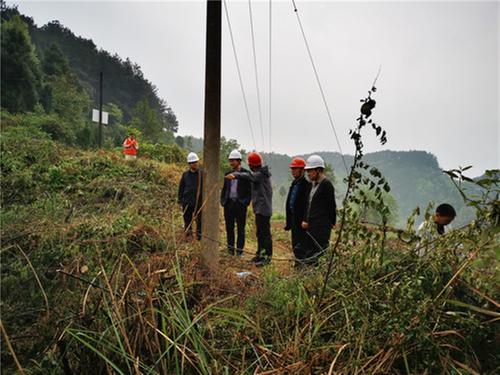 岳池县开展林区输配电设施火灾隐患整治工作检查