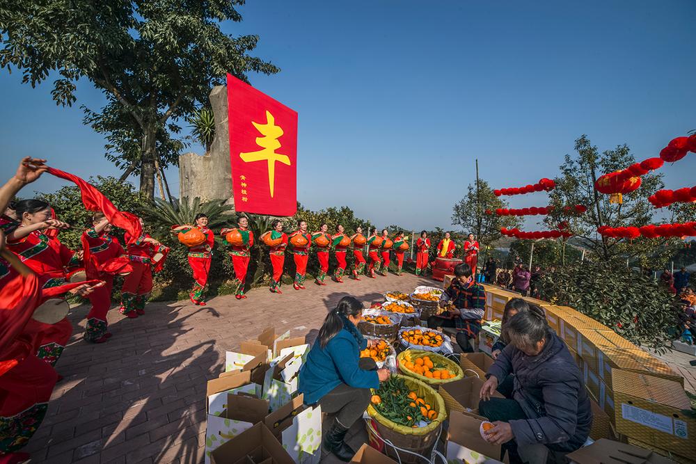 解码乡村振兴“青神样本”