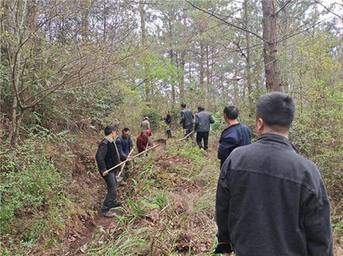 兴马镇：鱼池梁村干群齐上阵，助力农耕生产