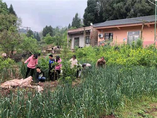 三尺讲台半生情