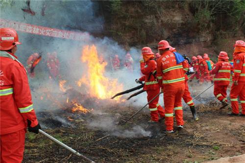 公义镇开展森林防火应急处置演练
