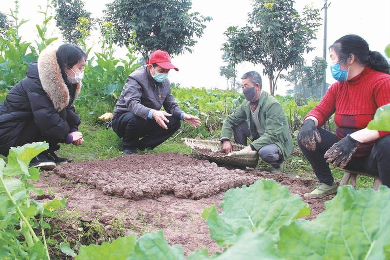 龚德成：谱写田园之美的“庄稼医生”