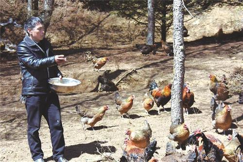 家门口的“生意经”