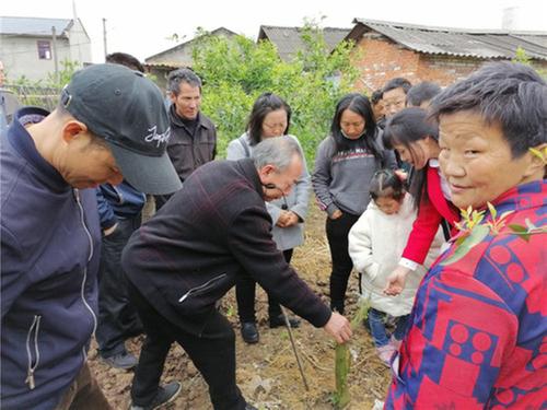 公义镇：欣荣村开展柑橘栽培职业培训