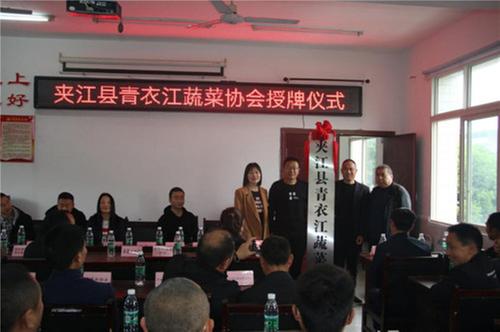 夹江县青衣江蔬菜协会授牌仪式圆满举行