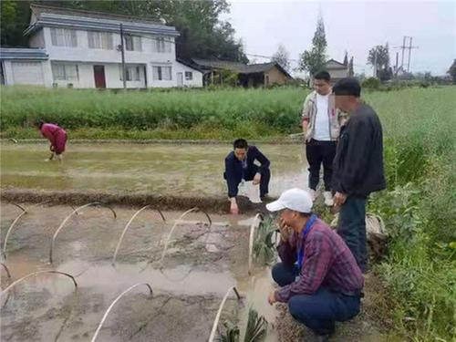 洪雅县农业农村局成功调解一起农资纠纷