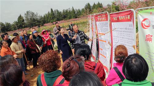 南江县“扁担学校”走进田间讲党史  