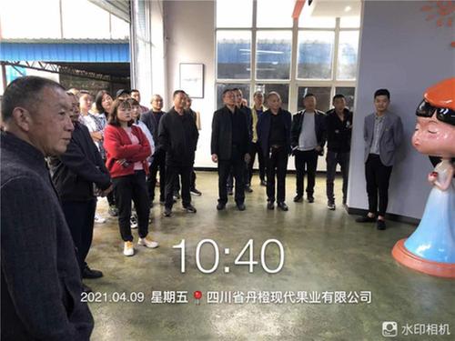 应对多重考验 眉山市柑橘产业找准定位谋发展