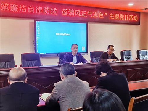 巴州区第六小学组织开展主题党日活动