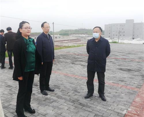 广安市政府党组成员李静云带队调研武胜县生态环境保护工作