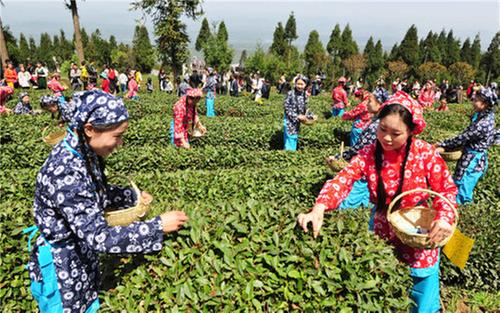 文化惠民促发展 凝心聚力奔小康