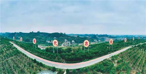 青神县提速释放三大红利 做实“两改”后半篇文章