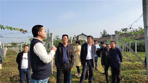 四川农业大学召开八月瓜产业发展论坛会议