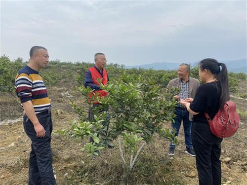 沙湾区科协开展项目巡诊服务