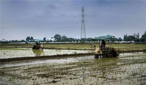 农机助春耕 种田更省钱