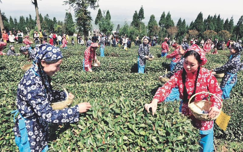 南江县：文化“铸魂” 擘画美丽乡村新图景