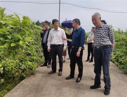 省政协科技委副主任黄竞跃到安岳县开展乡村振兴调研