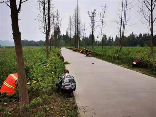 瑞峰镇：深悟细读学党史 服务群众办实事