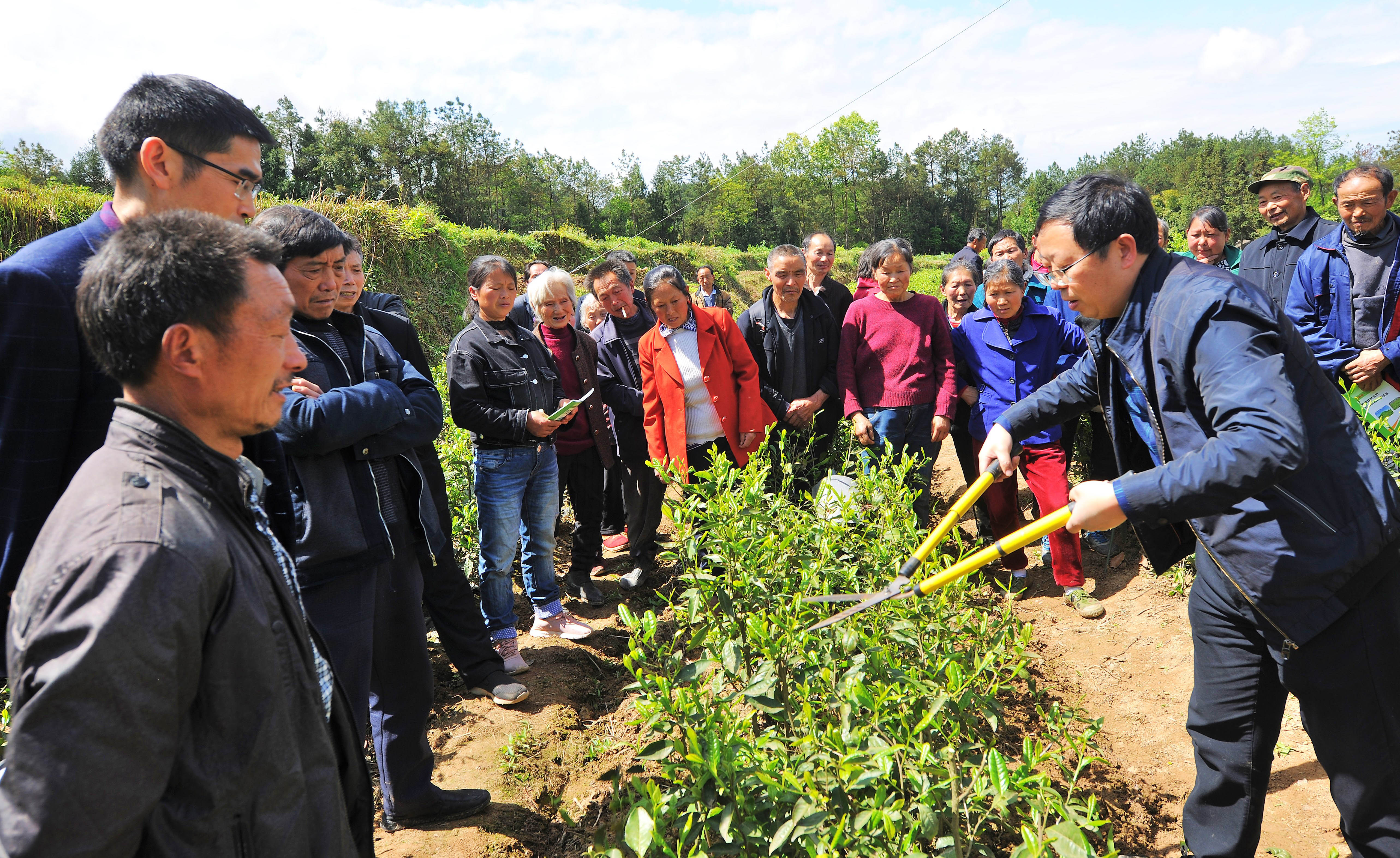 农技服务到田间