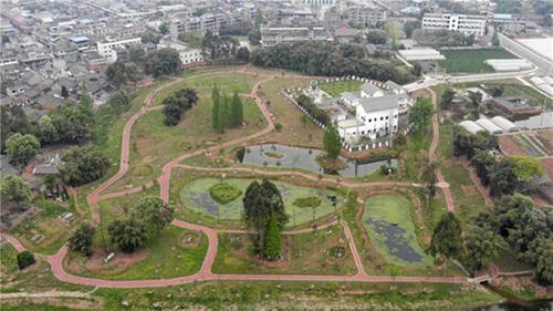 彭山区：为群众办实事解难题 