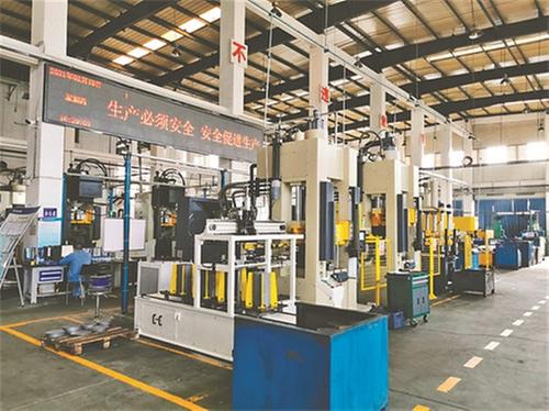 青春芳华 山中绽放