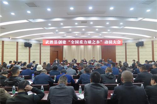 武胜县召开创建“全国柔力球之乡”动员大会