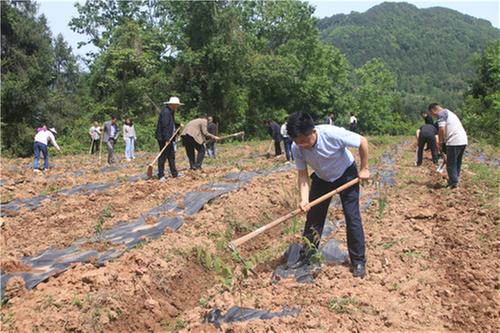 学党史办实事  大河镇化民困解民忧