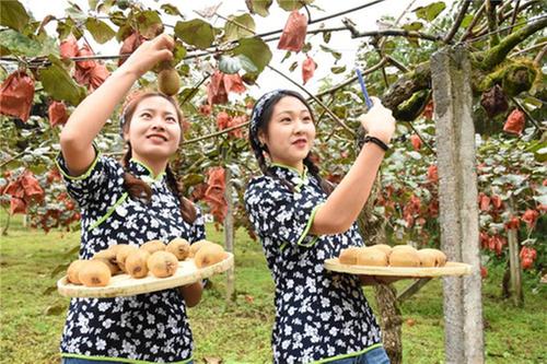 成眉同城“都”是一家“青”