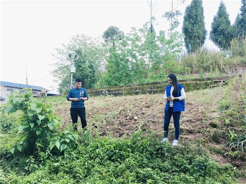 花园镇扎实开展禁种铲毒宣传工作