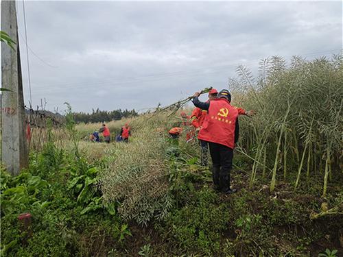 公义镇：天柱村立足小事办好民众实事