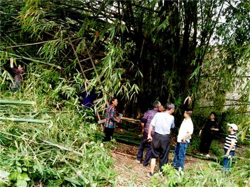 广安市枣山园区：红庙办事处扎实做好“我为群众办实事”实践活动