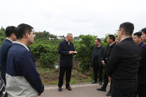 广安区多点发力推进乡村振兴