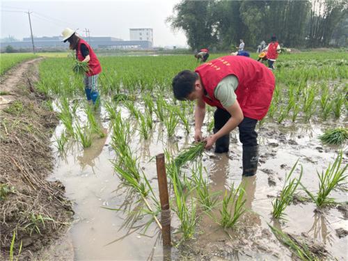 悟思想传承奋进力量 扎基层力行为民服务