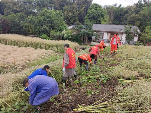 公义镇：让党史学习走“新”又走“心”
