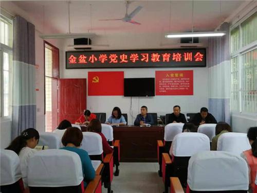 高塔镇金盆小学开展党史学习教育培训会