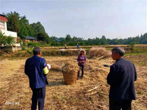 全域禁烧秸秆 公义镇打好“蓝天保卫战”