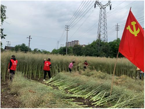 推进党史学习教育  知行合一注重实效
