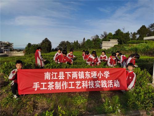 南江县东垭小学开展手工茶制作工艺科技实践活动