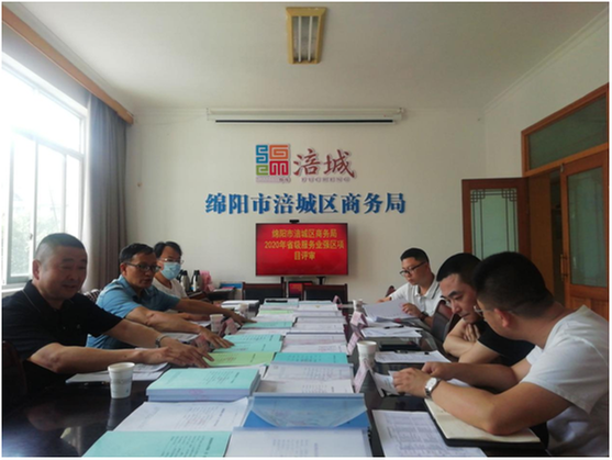 涪城区开展2020年度省级服务业强区资金项目评审工作
