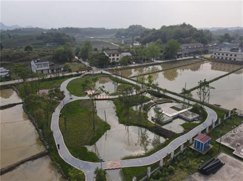 “改水改厕”擦亮乡村振兴底色