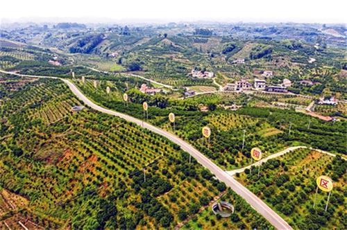 青神县：建好“四好农村路” 铺就乡村振兴路